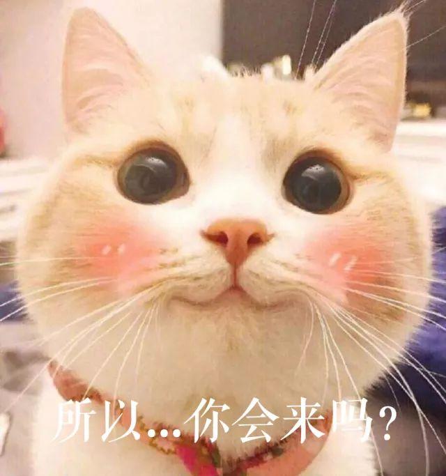 论如何保持一颗学习的心：同衡组团参加2017规划年会啦~