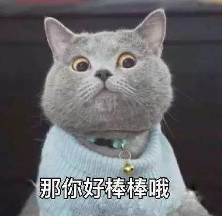 论如何保持一颗学习的心：同衡组团参加2017规划年会啦~