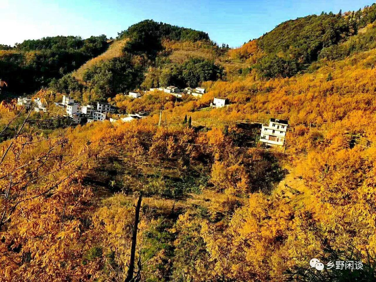 此心安处