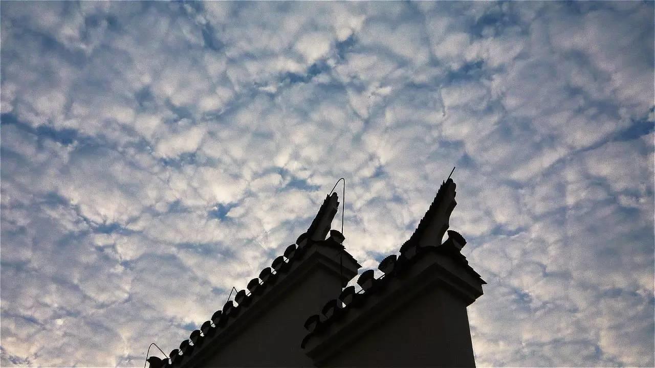 设计 | 建筑是长出来的