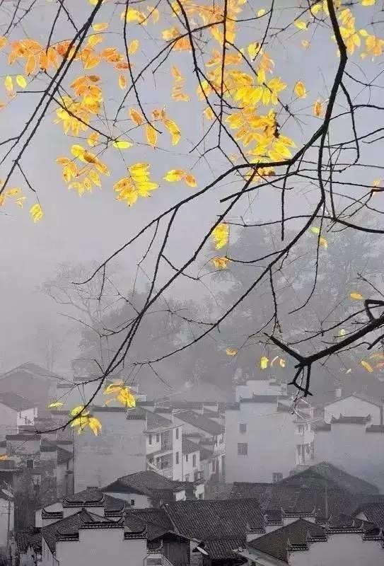 设计 | 建筑是长出来的