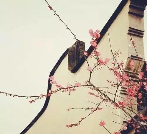 设计 | 建筑是长出来的
