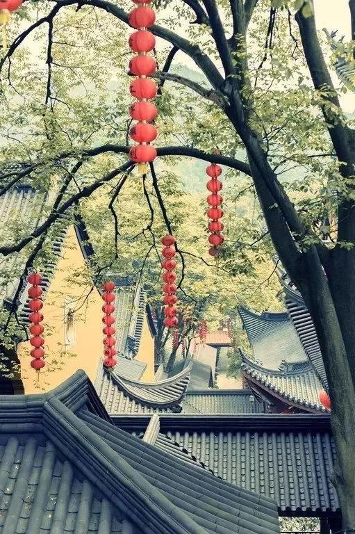 设计 | 建筑是长出来的