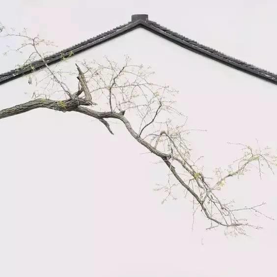 设计 | 建筑是长出来的