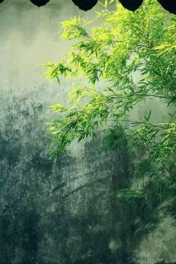 设计 | 建筑是长出来的