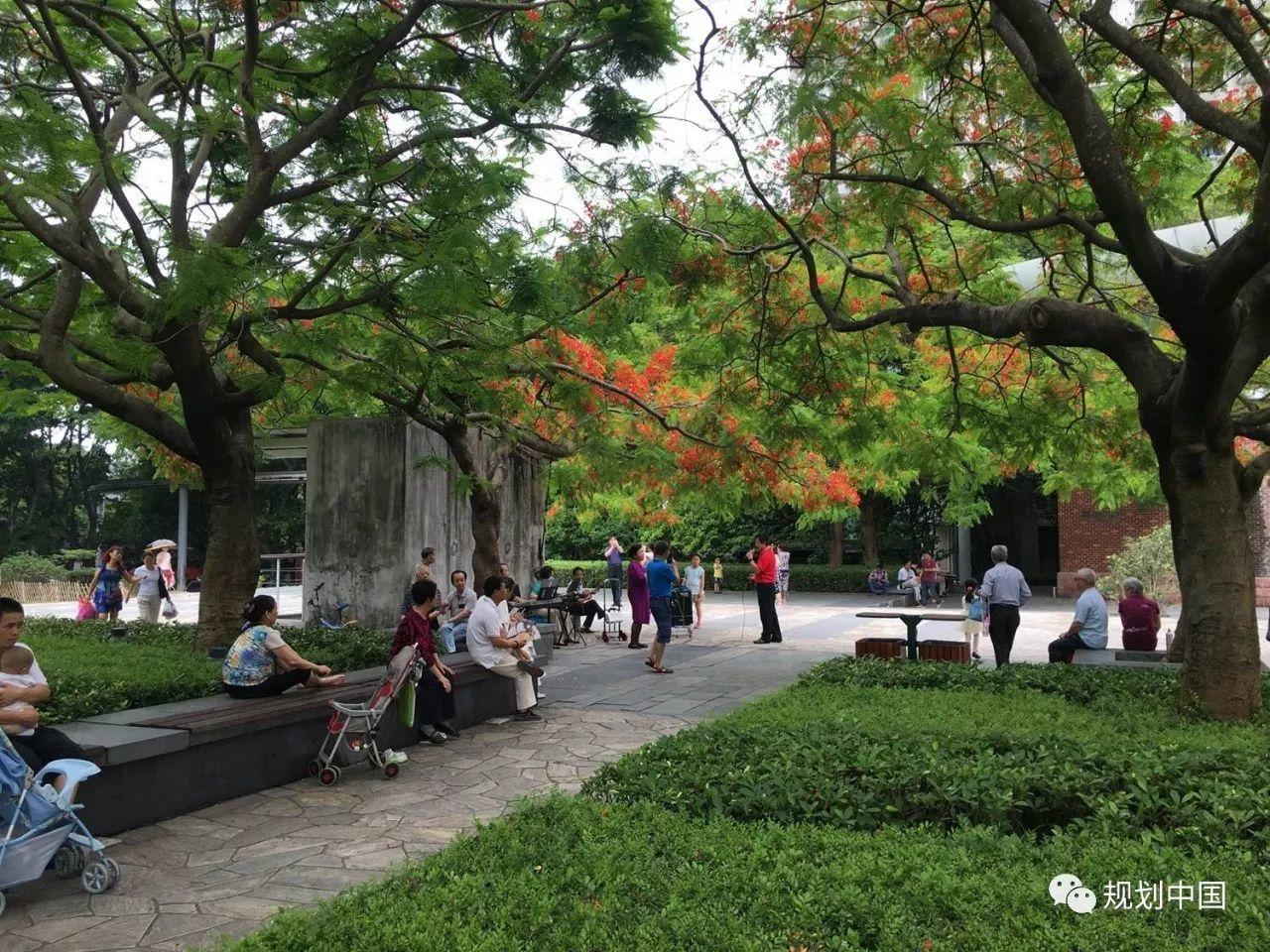 美丽城市  幸福宜居——深圳城市设计实施举例
