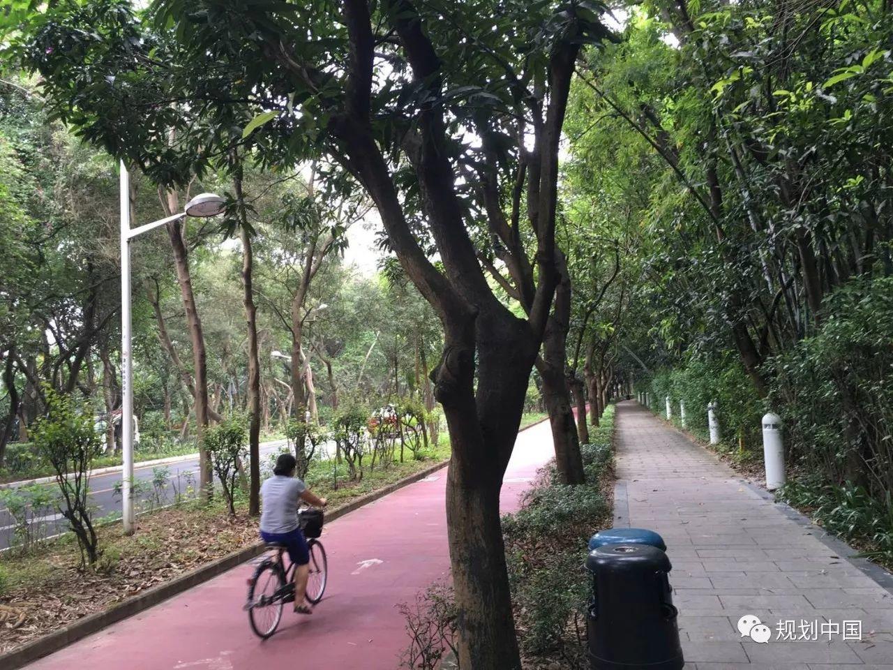 美丽城市  幸福宜居——深圳城市设计实施举例