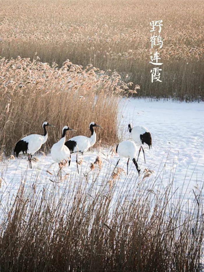 时节｜大雪