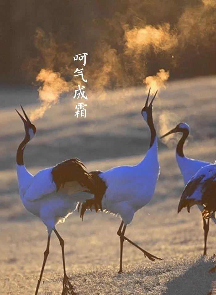 时节｜大雪