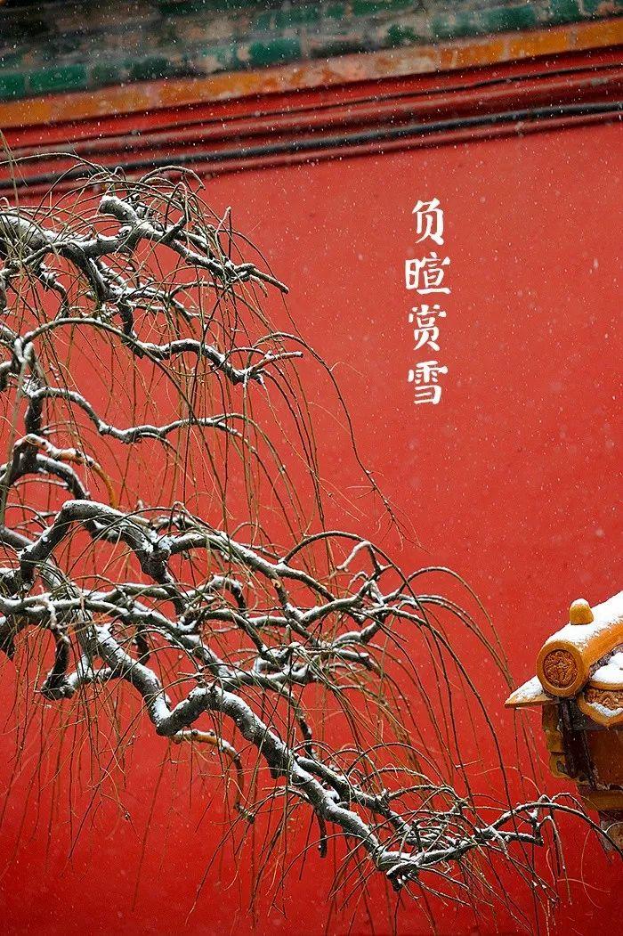 时节｜大雪