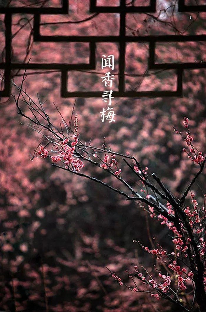 时节｜大雪