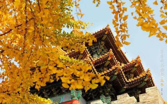 国家公祭日，我们郑重倡议！