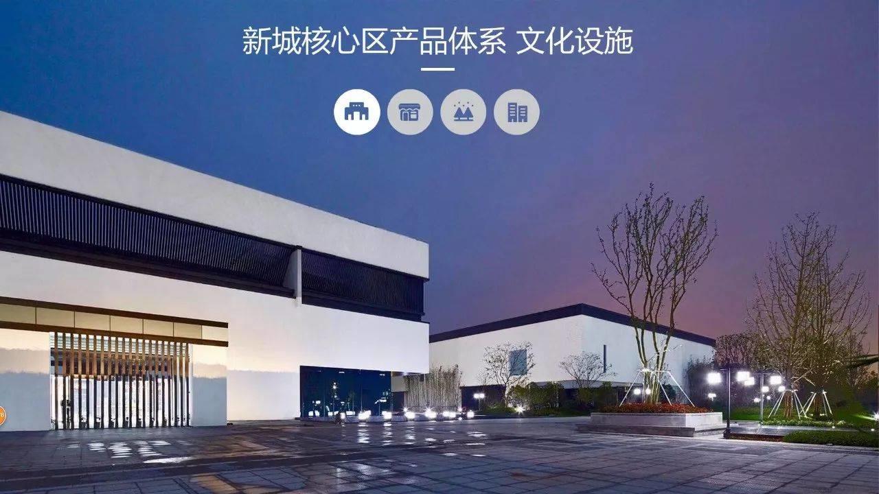 蔡震：面向开发实践的新城核心区城市设计