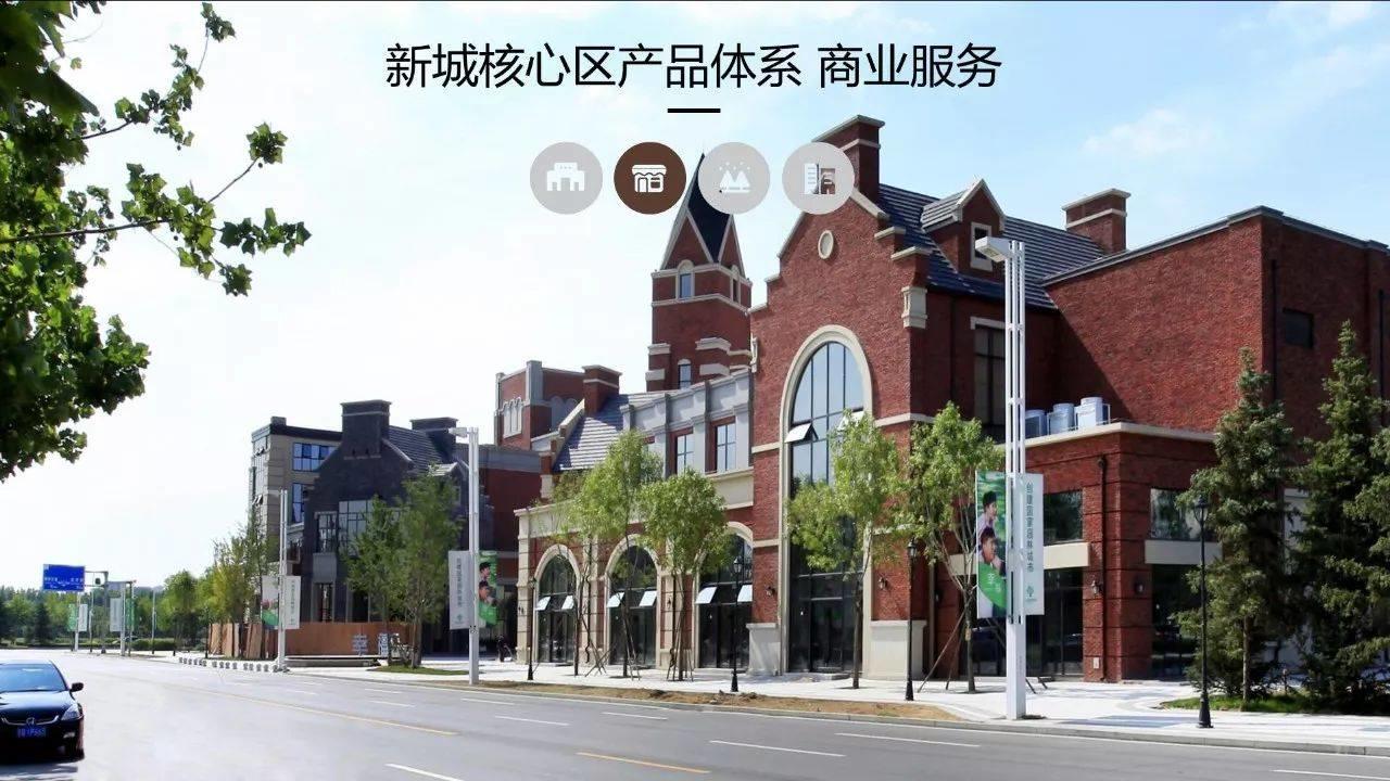 蔡震：面向开发实践的新城核心区城市设计