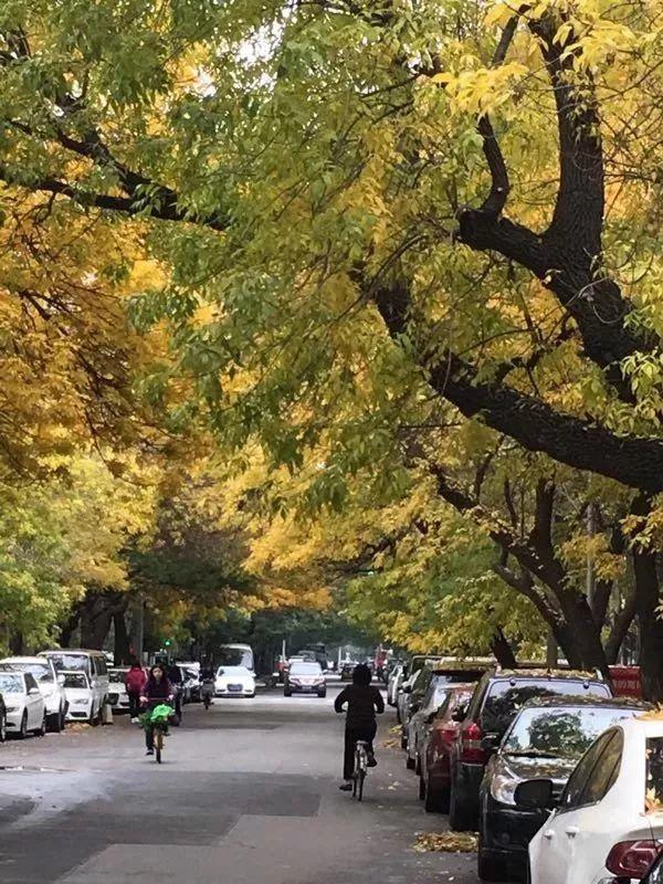 最美街道：六铺炕地区 | 现代的幽静