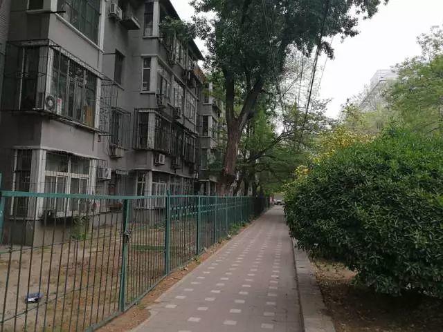 最美街道：六铺炕地区 | 现代的幽静