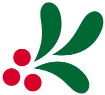 Let Merry in Data︱谁真正拥有公共交通的数据与地铁数据可视化样例(两则)