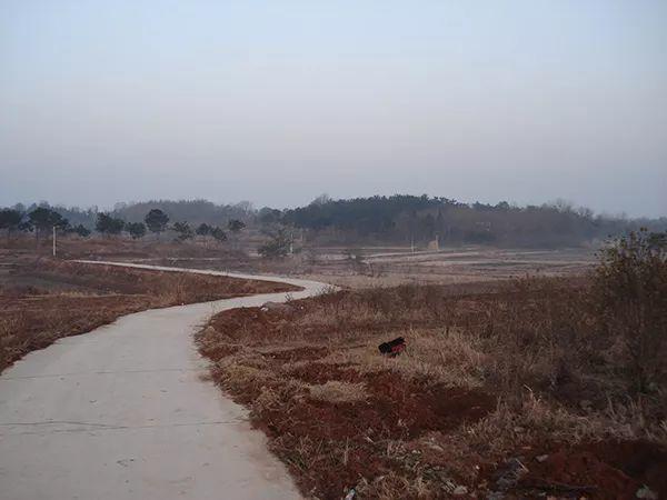 在乡村客车上②｜让村民相遇的信息集散地