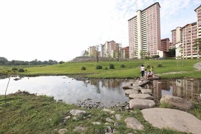 【学术动态】生态修复实践案例| 城市设计与详细规划（陈晨）