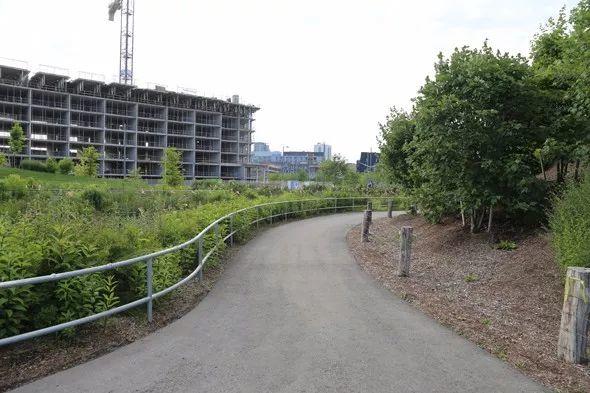 【学术动态】生态修复实践案例| 城市设计与详细规划（陈晨）