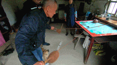 “桃源村”调研手记①｜仍在耕读传家的乡土中国