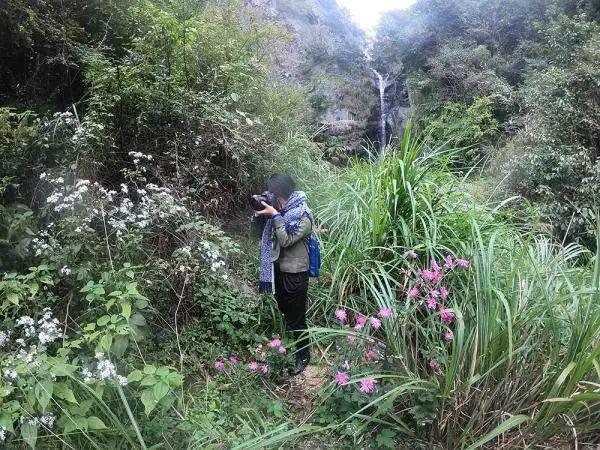 “桃源村”调研手记②｜由族谱构建的紧密联系与传承