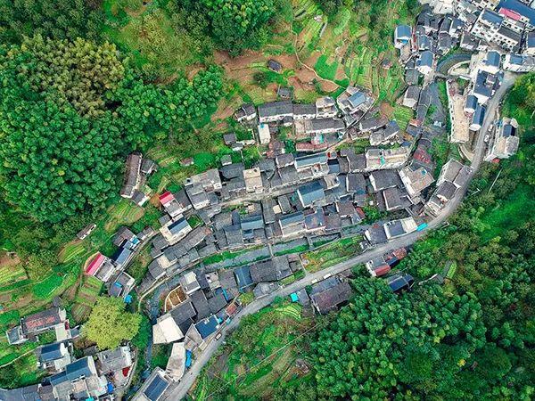 “桃源村”调研手记③｜古村开发，需讨论如何避免副作用