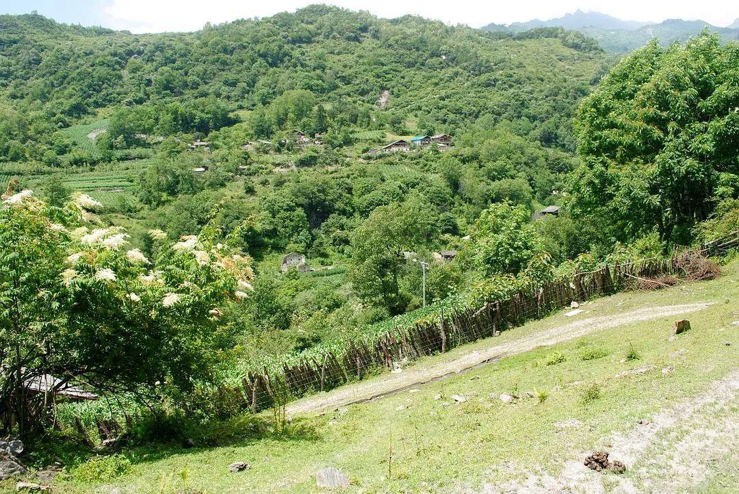 介入自然，制造风景：关于一次设计的思考