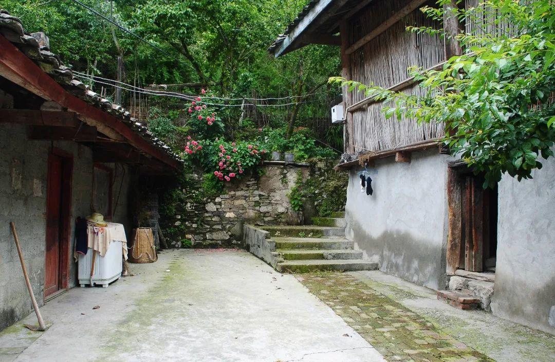 介入自然，制造风景：关于一次设计的思考