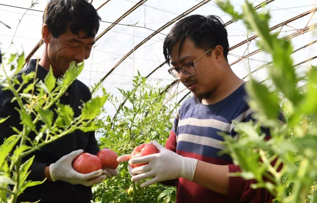 实施乡村振兴战略这篇大文章怎么做？习近平给出了答案