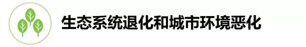 深圳：请回答2050！