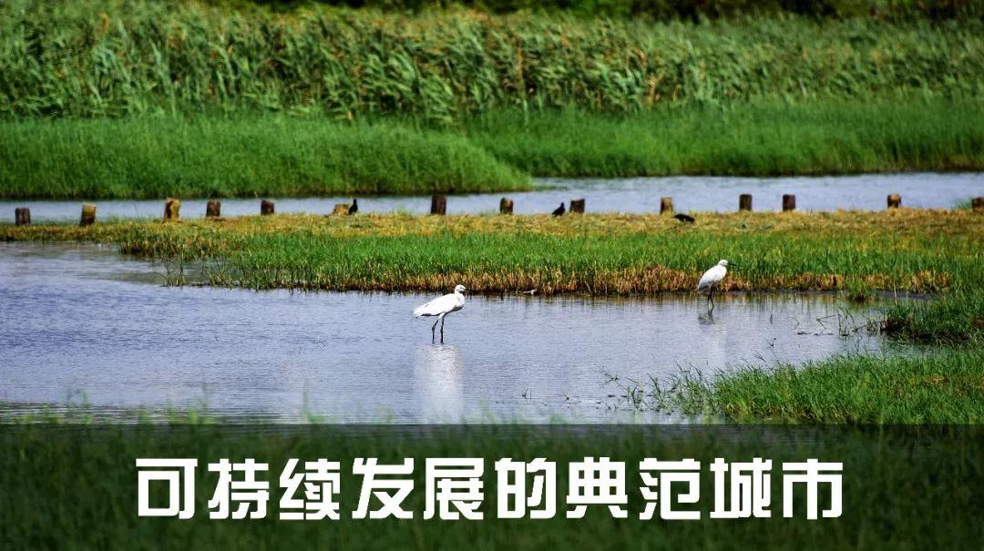 深圳：请回答2050！