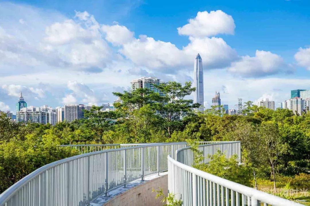 深圳：请回答2050！