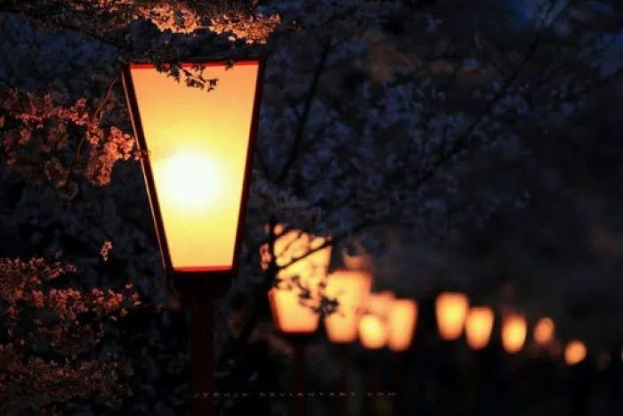 今夜我失眠