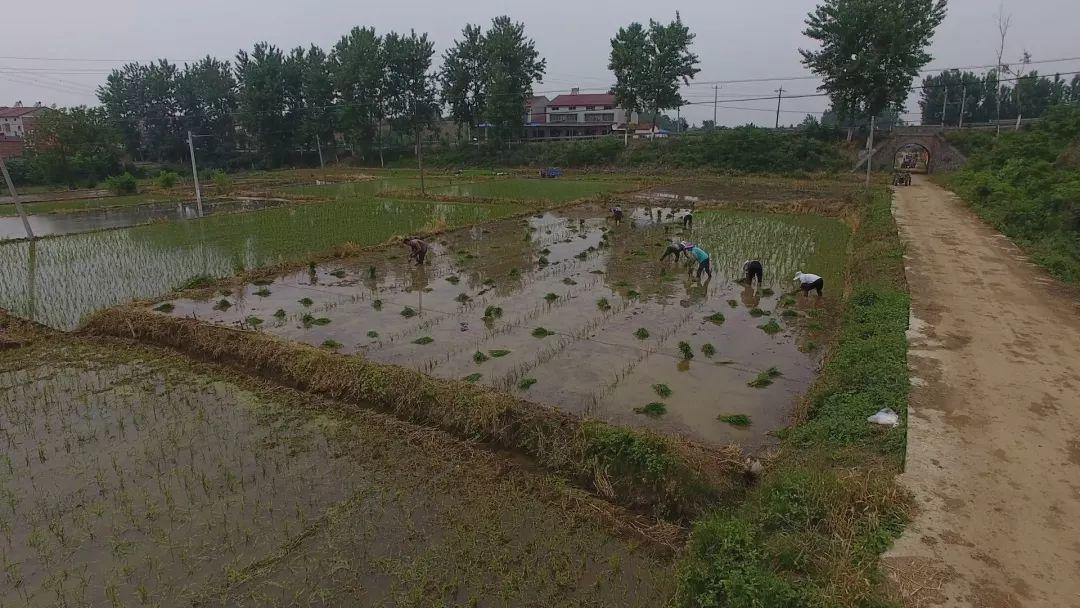 易地搬迁④｜留下与离开，湖北财神庙村的移民故事