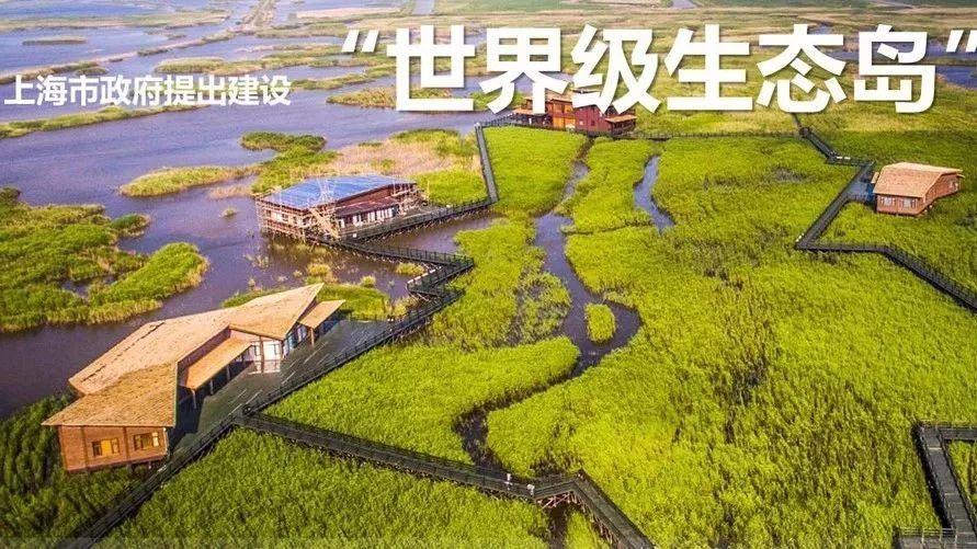 规划日课（05.01）：规划圈一周热点导读
