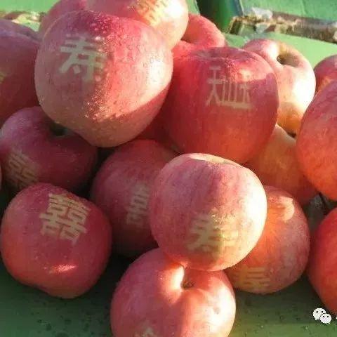规划日课（05.01）：规划圈一周热点导读