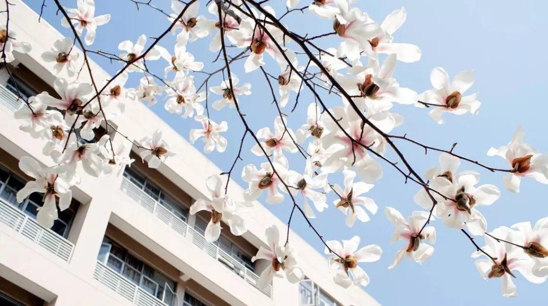 规划日课（05.01）：规划圈一周热点导读