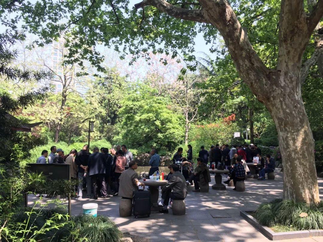 12个小时，7个公园，跨越魔都5个区，约不约？| CityHunter公园解密指南