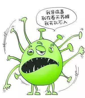 国土菌有后台 | 这种菜有4大功效，这季节一定别错过！