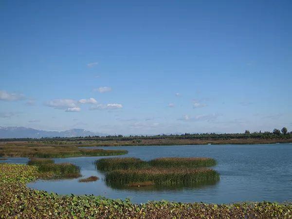 五环外的北京：菜市场、回迁房与远郊新城