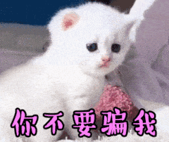 其实，你没你想象的那么热爱规划
