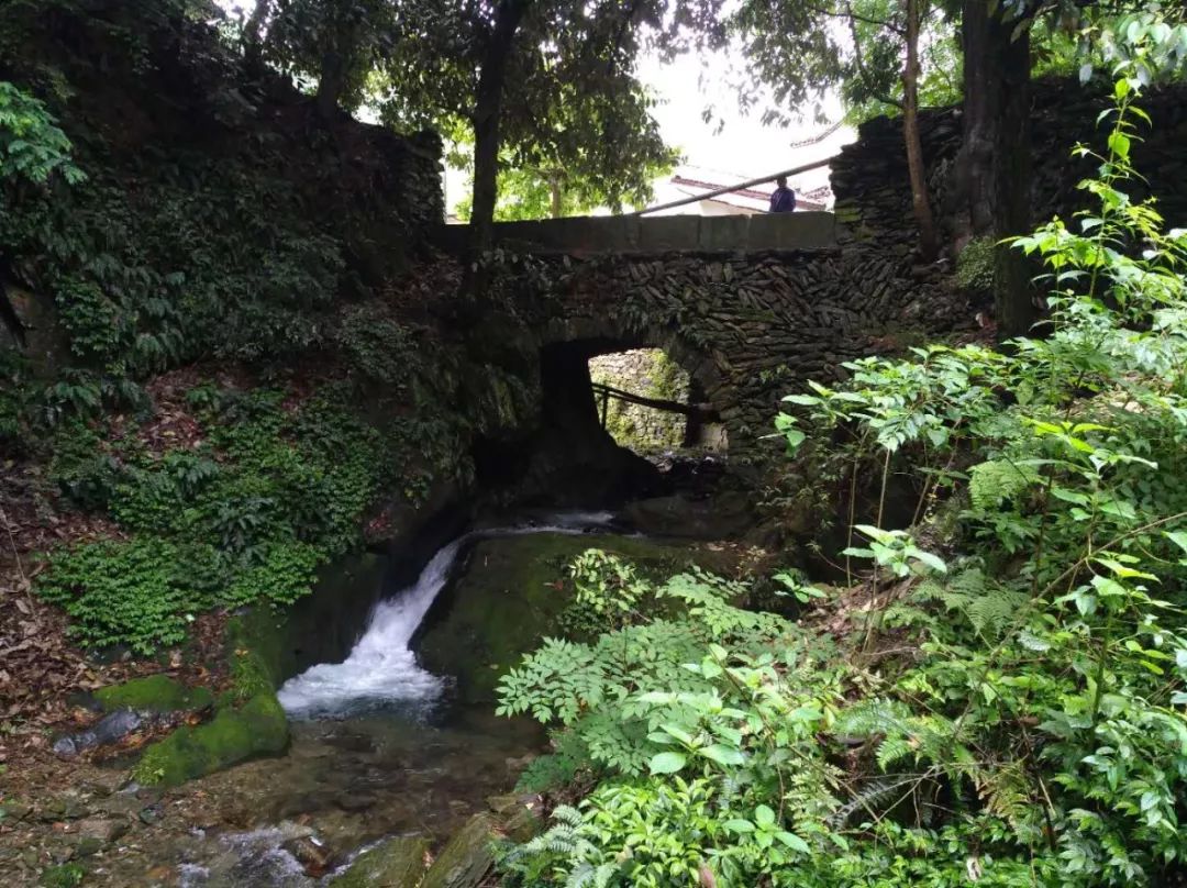 [徽州古道27] 大燕岭古道：行走在醉美竹海里