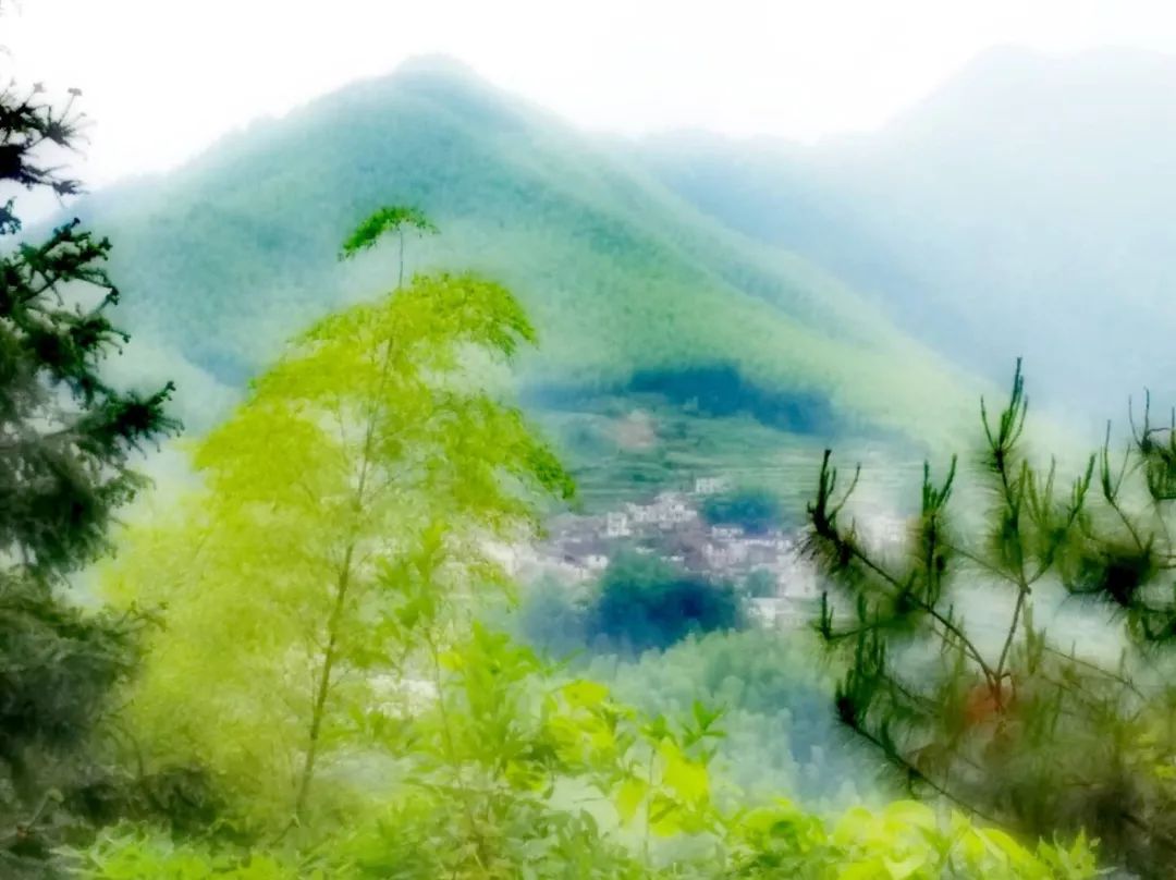 [徽州古道27] 大燕岭古道：行走在醉美竹海里