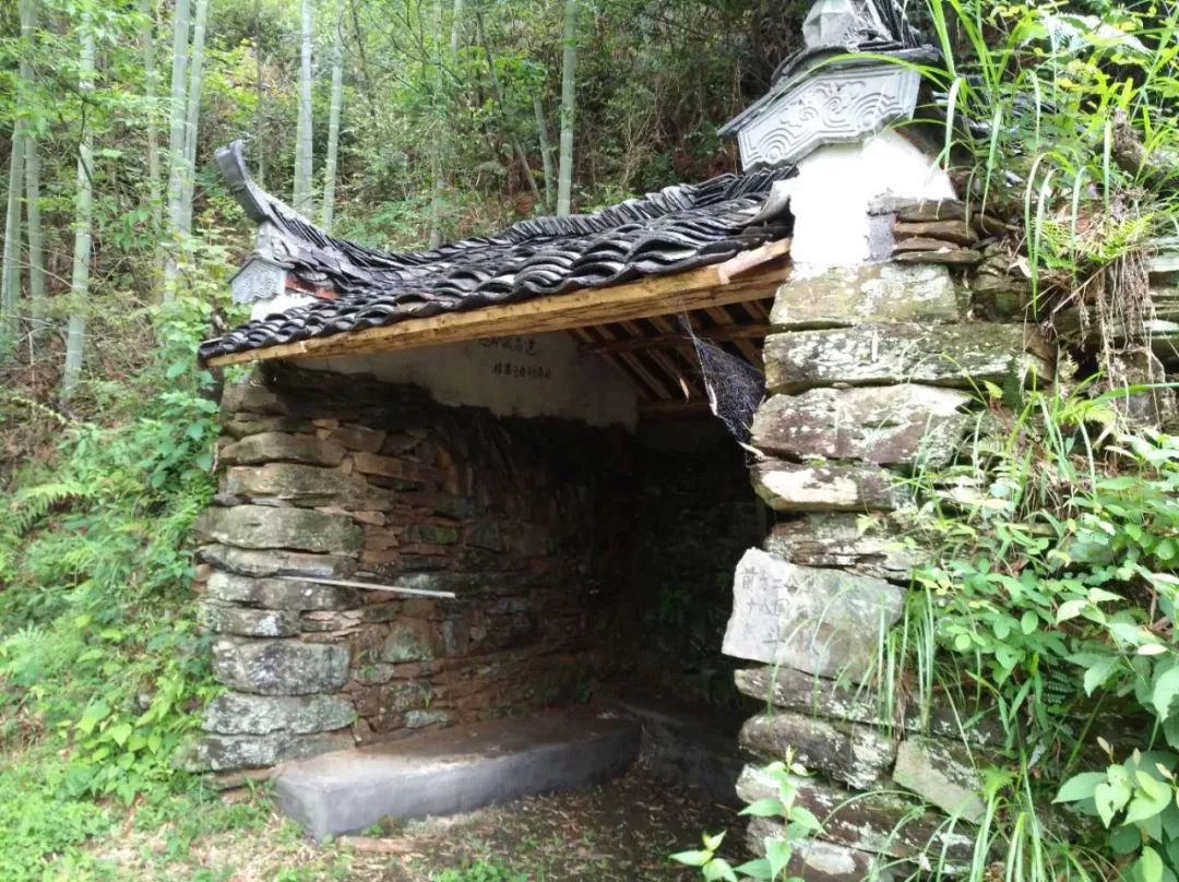 [徽州古道27] 大燕岭古道：行走在醉美竹海里