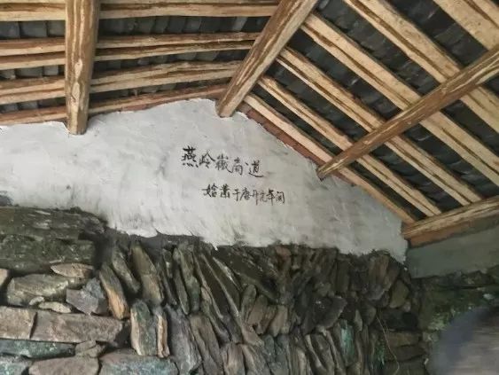 [徽州古道27] 大燕岭古道：行走在醉美竹海里