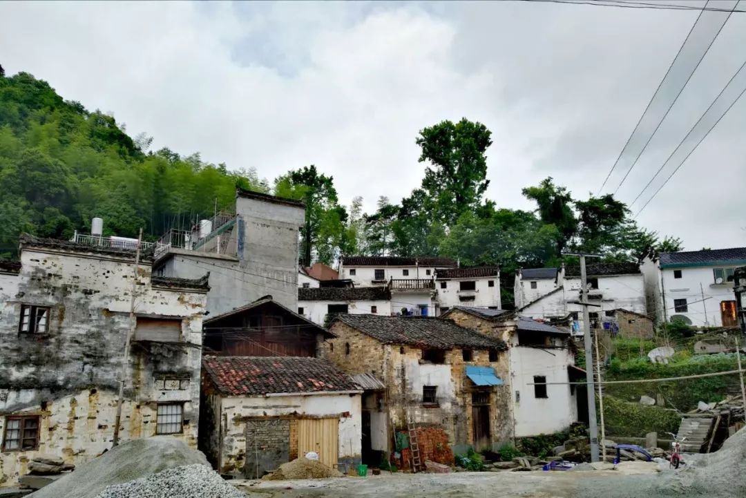 [徽州古道27] 大燕岭古道：行走在醉美竹海里