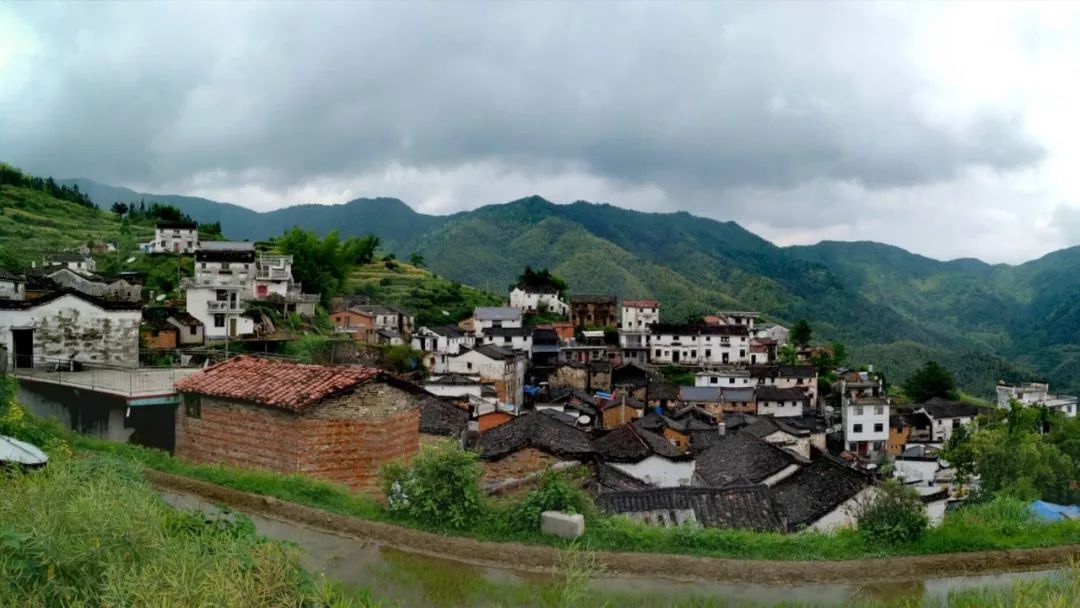 [徽州古道27] 大燕岭古道：行走在醉美竹海里
