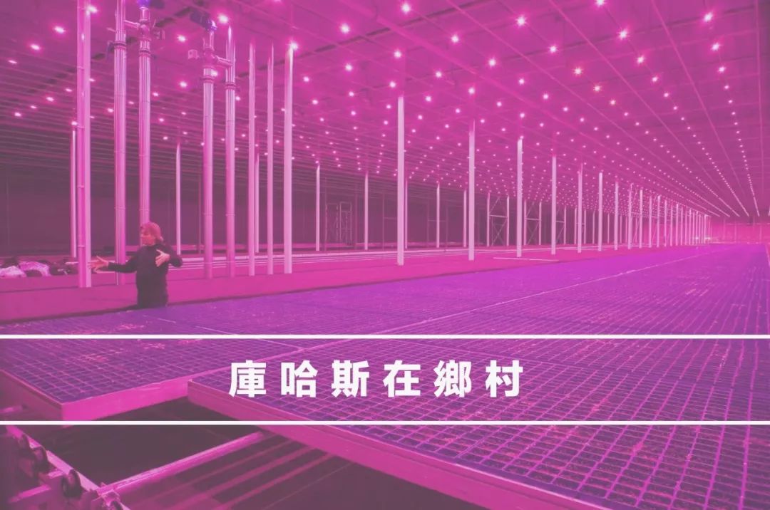 未来的世界：库哈斯在乡村