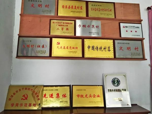 “党建+旅游”,绩溪创新跑出加速度 “党建+旅游”,绩溪创新跑出加速度